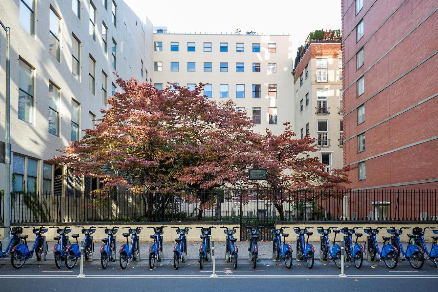 Chelsea 1Br W Doorman Gym Nr High Line Nyc-677 Apartman New York Amerikai Egyesült Államok